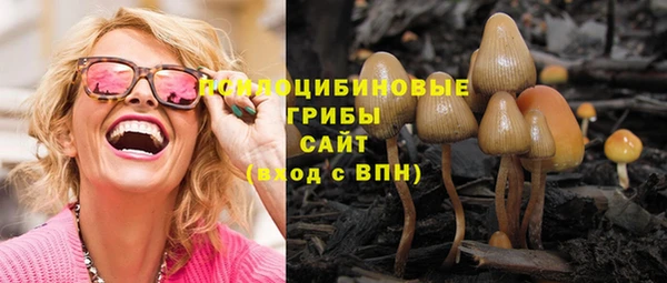PSILOCYBIN Алексин