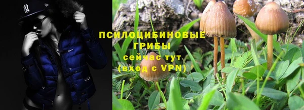 PSILOCYBIN Алексин